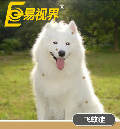 不一樣的眼病，不一樣的世界